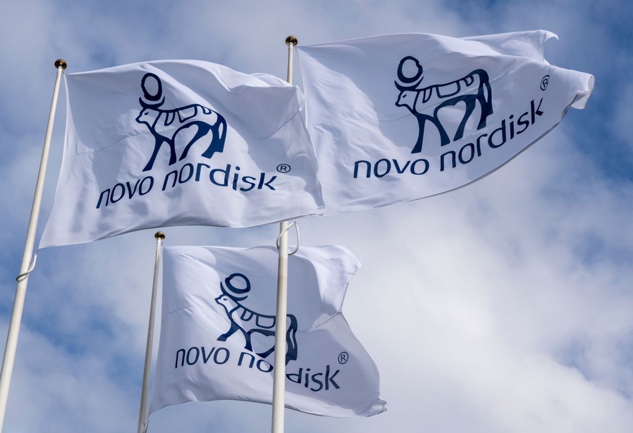 Novo Nordisk flag